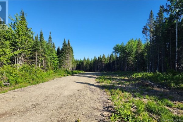 Lot2022-1 Church River Road, Lavillette, NB E1G4C6 Photo 4