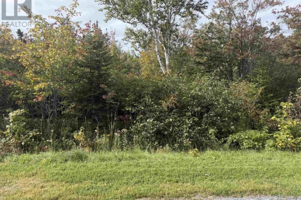 Lot25 Schaller Drive, Sydney Forks