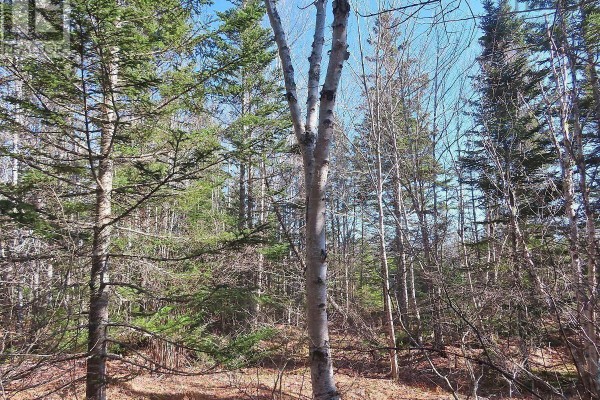 Lot5 Lower River Road, Grantville, NS B0E1J0 Photo 3