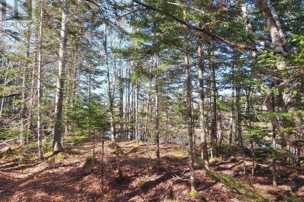 Lot5 Lower River Road, Grantville, NS B0E1J0 Photo 4