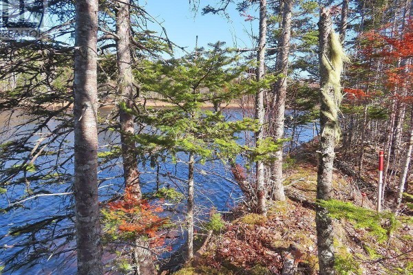 Lot5 Lower River Road, Grantville, NS B0E1J0 Photo 5