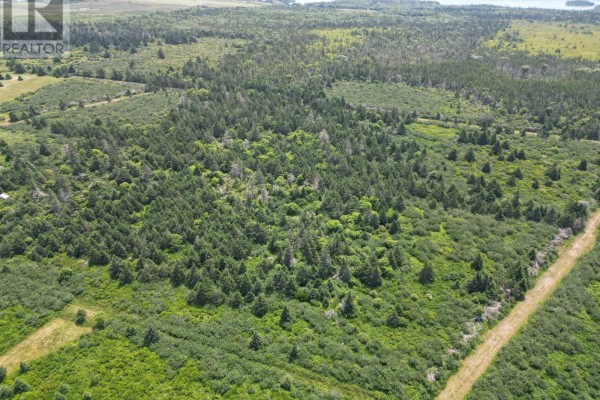 Lots, Quaco Road, Port Maitland, NS B5A5X5 Photo 5