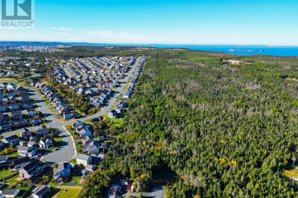 Lots 1-10 Springbrook Avenue, Paradise, NL A1L3P5 Photo 2