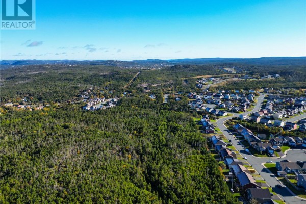 Lots 1-10 Springbrook Avenue, Paradise, NL A1L3P5 Photo 4