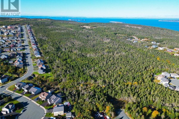 Lots 1-10 Springbrook Avenue, Paradise, NL A1L3P5 Photo 5