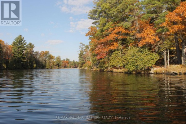 Lots 1 And 2 - C280 Lower Buckhorn Lake, Trent Lakes, ON K0L1J0 Photo 2