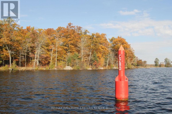 Lots 1 And 2 - C280 Lower Buckhorn Lake, Trent Lakes, ON K0L1J0 Photo 5