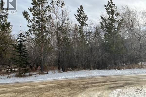 Lots 16 And 17 Herbert Street, Caron Rm No 162, SK S0H0R0 Photo 2