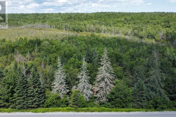 Lots 3 Highway, East Jordan, NS B0T1J0 Photo 3