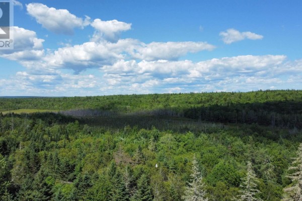 Lots 3 Highway, East Jordan, NS B0T1J0 Photo 5