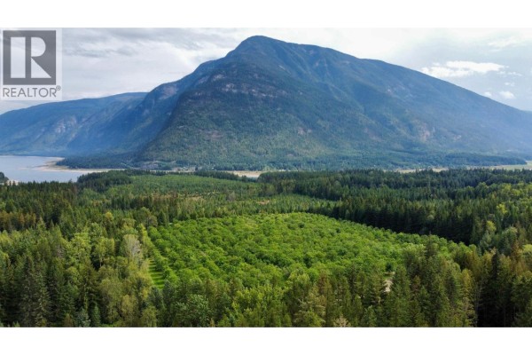 Lots 71-72 Harrison Road, Arrow Park, BC V0G1R1 Photo 4