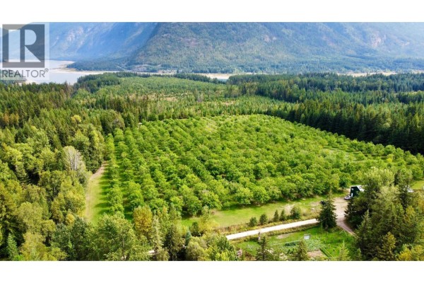 Lots 71-72 Harrison Road, Arrow Park, BC V0G1R1 Photo 5