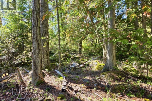 Lots A & B Kane Road, Nelson, BC V1L6S9 Photo 3