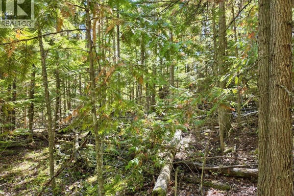 Lots A & B Kane Road, Nelson, BC V1L6S9 Photo 4
