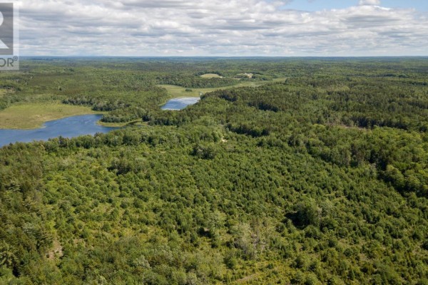 Lots Isadore Thibeau Road, Havelock, NS B0W1M0 Photo 3