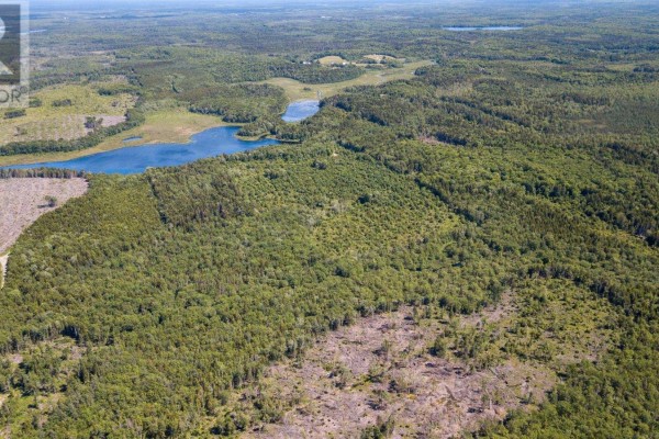 Lots Isadore Thibeau Road, Havelock, NS B0W1M0 Photo 4
