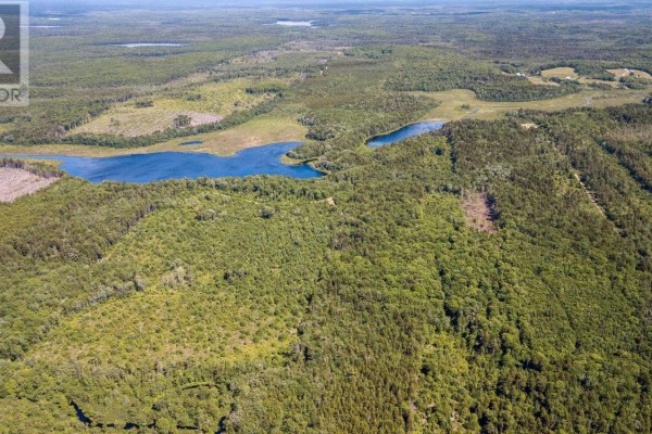 Lots Isadore Thibeau Road, Havelock, NS B0W1M0 Photo 5