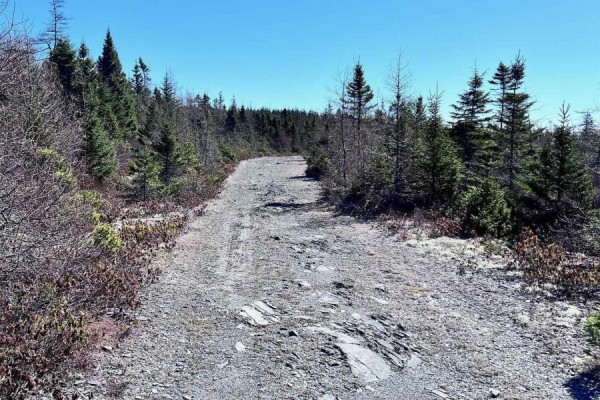 Lots Lower Lahave Road, Upper Kingsburg, NS B0J2X0 Photo 5