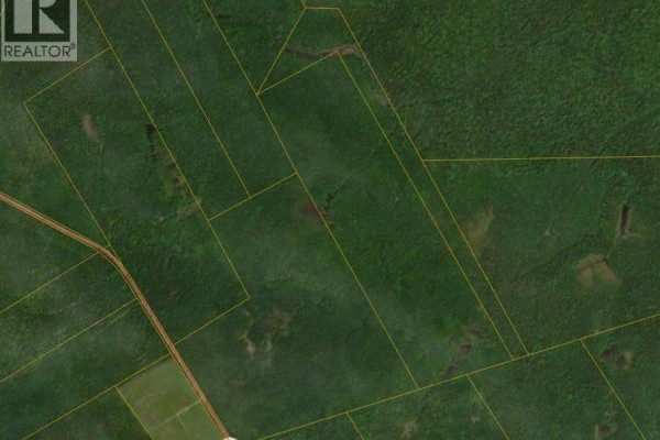 Lots Mclaughlin Road, Pine Ridge, NB E4W3S6 Photo 2