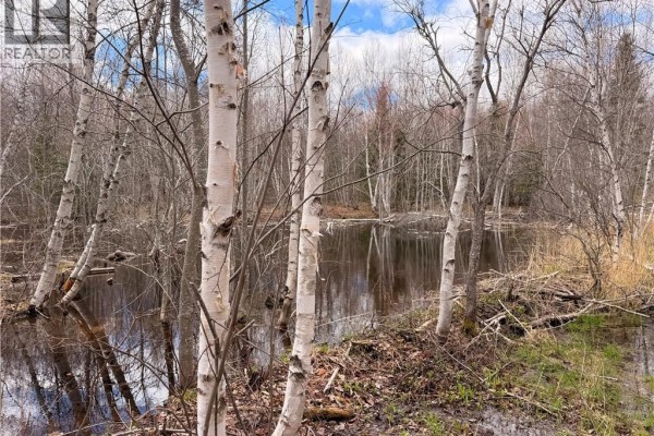 Lots Mclaughlin Road, Pine Ridge, NB E4W3S6 Photo 4