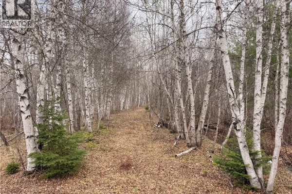 Lots Mclaughlin Road, Pine Ridge, NB E4W3S6 Photo 5