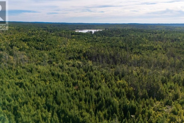 Lots Pettipas Lane, East Chezzetcook, NS B0J2L0 Photo 5