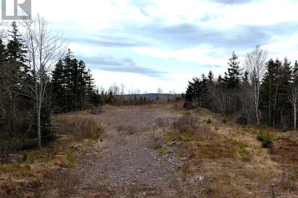 Louisbourg Highway, Catalone, NS B1C2E6 Photo 5