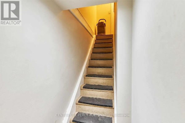 Carpeted staircase with dark treads leading upwards into a hallway. - Lower - 10 Muriel Avenue, Toronto