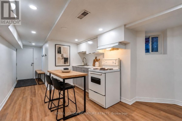 Lower - 1043 Ossington Avenue, Toronto, ON M6G3V9 Photo 3