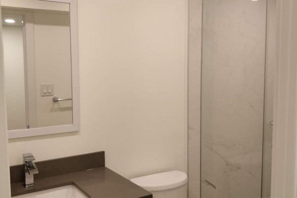 Small bathroom with a vanity, sink, toilet, and a glass-enclosed shower. - Lower - 1185 Woodbine Avenue, Toronto