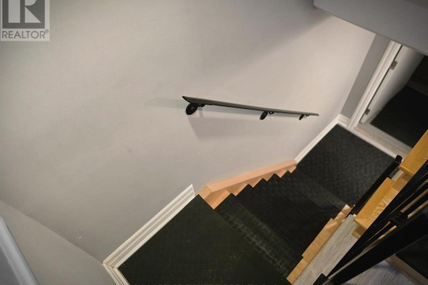 Primary Bedroom - Lower - 141 Phillip Avenue, Toronto, ON M1N3R6 Photo 4