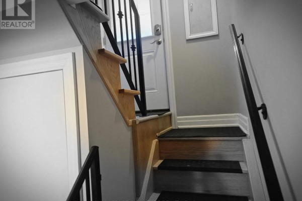 Lower - 141 Phillip Avenue, Toronto, ON M1N3R6 Photo 5