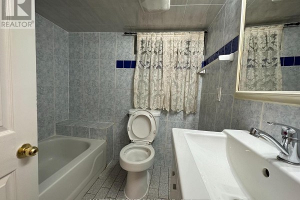 Bathroom - Lower - 151 Dynevor Road, Toronto, ON M6E3X5 Photo 5