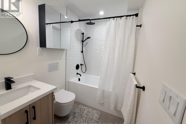 Lower - 173 Beatrice Street, Toronto, ON M6G3E9 Photo 5