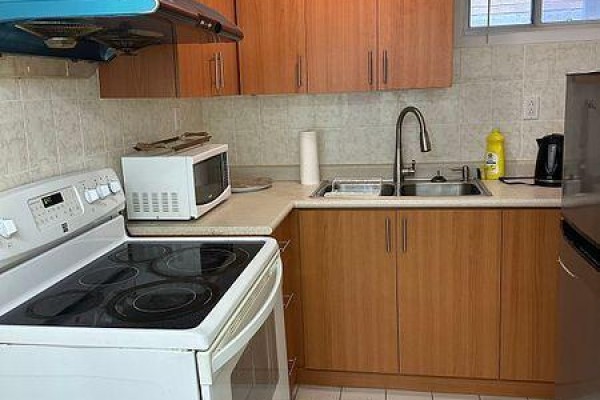 Lower - 20 Maureen Drive N, Toronto, ON M2K1J8 Photo 5
