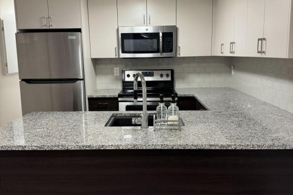 Lower - 228 Montose Avenue, Toronto, ON M6G3G7 Photo 2