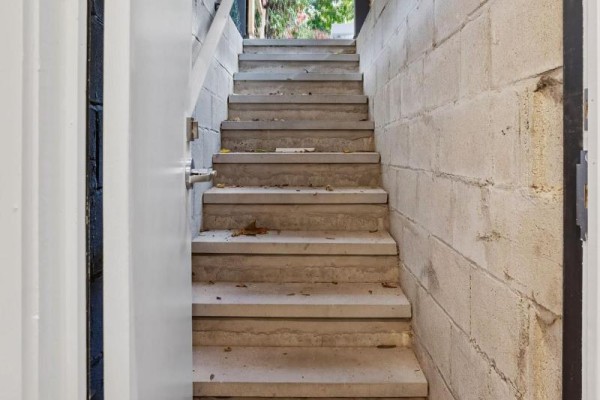 Lower - 231 Havelock Street, Toronto, ON M6H3B8 Photo 4