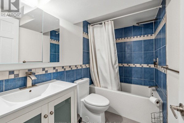 Lower - 246 Ellis Avenue, Toronto, ON M6S2X2 Photo 4