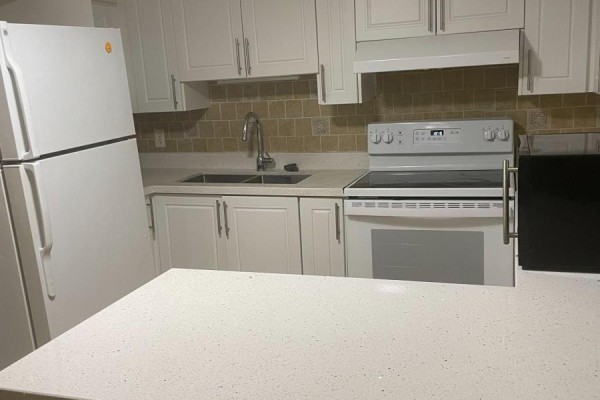 Lower - 31 Madawaska Avenue, Toronto, ON M2M2R1 Photo 5