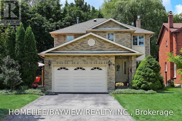 Lower - 36 Eleanor Circle, Richmond Hill, ON, photo 3
