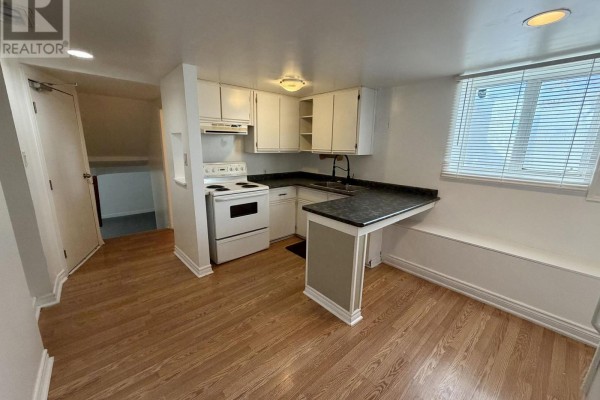 Kitchen - Lower - 43 Walter Avenue, Newmarket, ON L3Y2T2 Photo 2