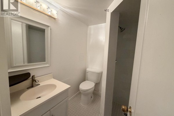 Lower - 43 Walter Avenue, Newmarket, ON L3Y2T2 Photo 4