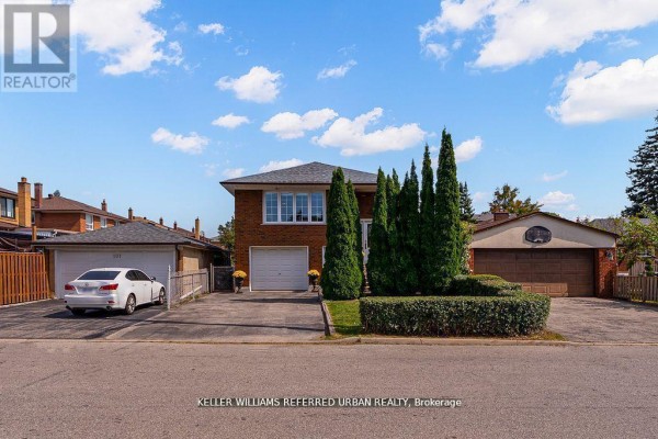 Living room - Lower - 55 Tedder Street, Toronto, ON M6M4X2 Photo 2