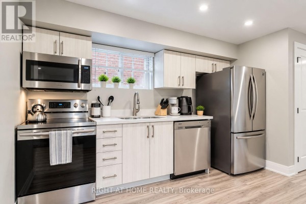 Lower - 6 Newlands Avenue, Georgina, ON L4P3T3 Photo 4