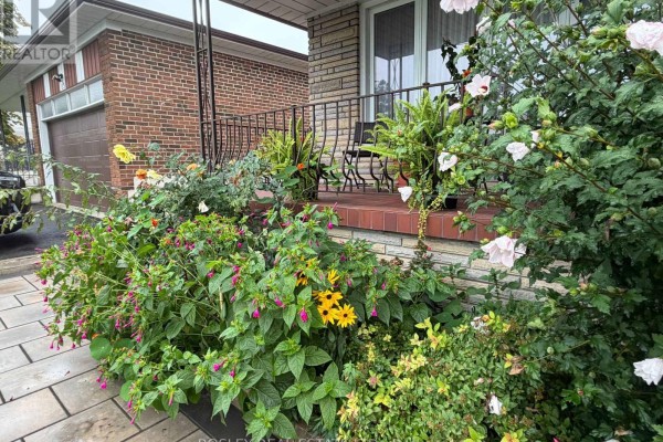 Overgrown flower beds with pink, yellow, and white flowers are in front of the porch. - Lower - 63 Ernest Avenue, Toronto