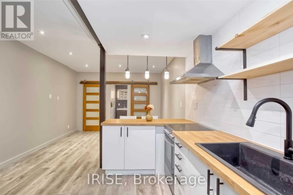 Lower - 66 Robina Avenue, Toronto, ON M6C3Y7 Photo 4