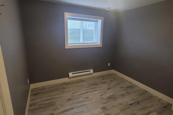 Lower 10595 159b Street, Surrey, BC V4N3J4 Photo 3