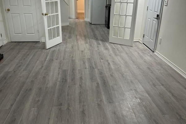 Lower 155 Highland Crescent, Toronto, ON M2L1H2 Photo 2