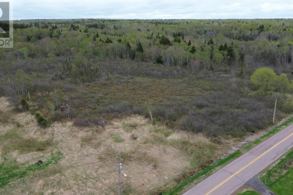 Aerial view of dense wooded area with mixed vegetation and open grassy patches. - Lower Cove Road, Joggin Bridge