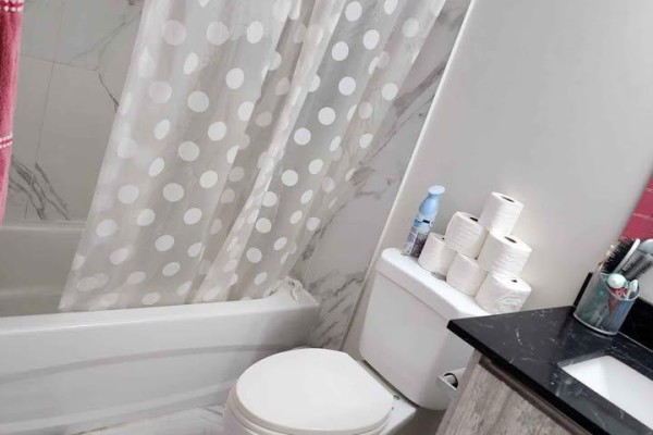 Bathroom - Lower Level ( Legal Apt.) - 75 Parkside Drive, Brampton, ON L6Y3A2 Photo 5